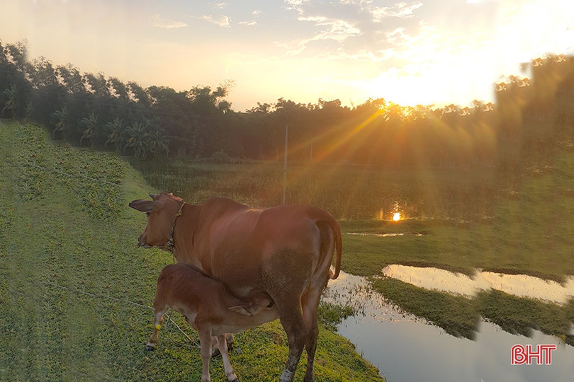 Ngắm hoàng hôn mùa hạ ở phố núi Hà Tĩnh