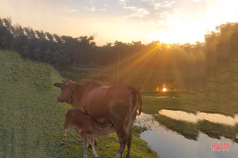 Ngắm hoàng hôn mùa hạ ở phố núi Hà Tĩnh