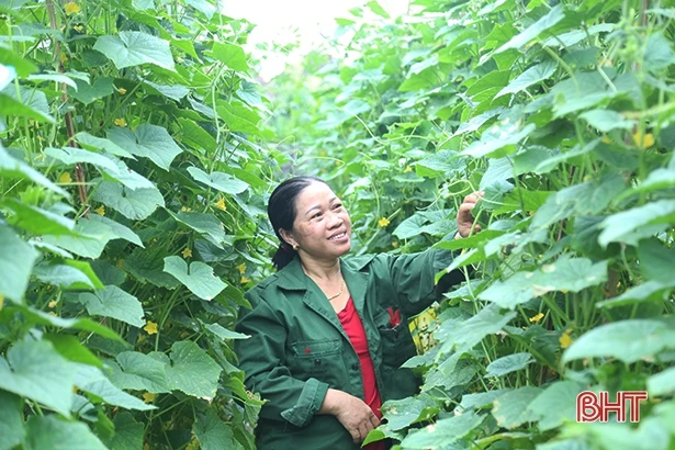 Tạo tiền đề vững chắc, Tân Lộc hướng tới xã nông thôn mới kiểu mẫu