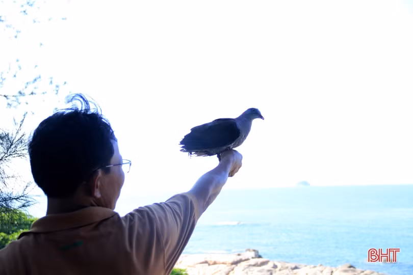 Thợ săn lùng sục, loại chim quý ở vùng biển Kỳ Xuân rời bỏ chốn quen