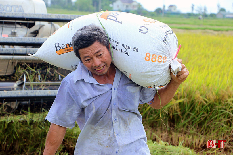 Muôn kiểu chống nóng của người Hà Tĩnh