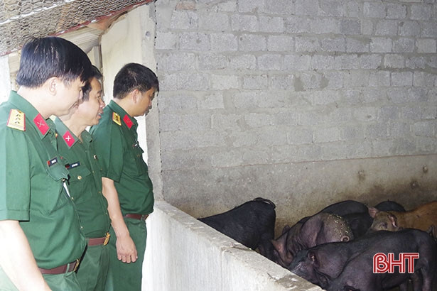 Kiểm tra nhiệm vụ quân sự, quốc phòng tại các cơ quan, đơn vị