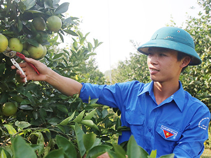 Hà Tĩnh có 5 đại biểu tham dự Đại hội Thanh niên tiên tiến làm theo lời Bác