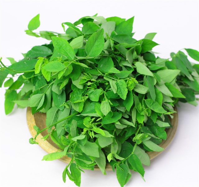 Rau ngót cực tốt nhưng người này ăn vào lại rước họa vào thân - Hình 4 Rau ngót cực tốt nhưng người này ăn vào lại rước họa vào thân