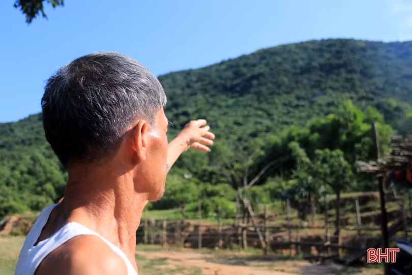 Thợ săn lùng sục, loại chim quý ở vùng biển Kỳ Xuân rời bỏ chốn quen