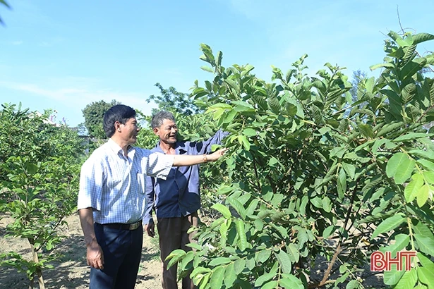 Thạch Châu vững vàng tiến bước, xây dựng xã nông thôn mới kiểu mẫu