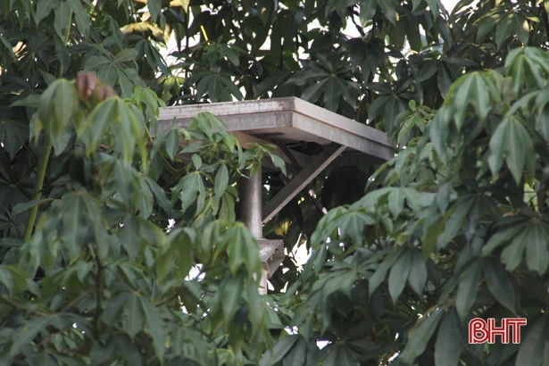 Đèn tín hiệu “ngủ quên”, xe cộ “giành giật” nhau tại ngã tư ở Can Lộc