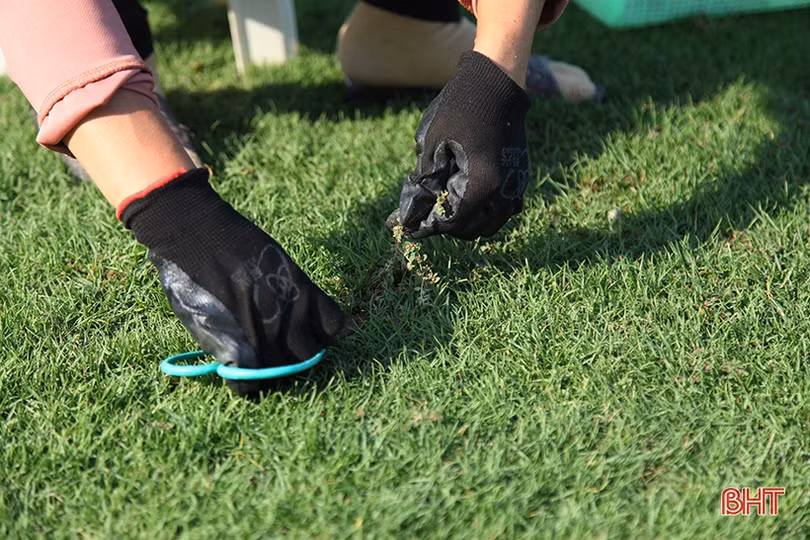 Cận cảnh mặt cỏ SVĐ Hà Tĩnh trước ngày đội nhà gặp Fico Tây Ninh