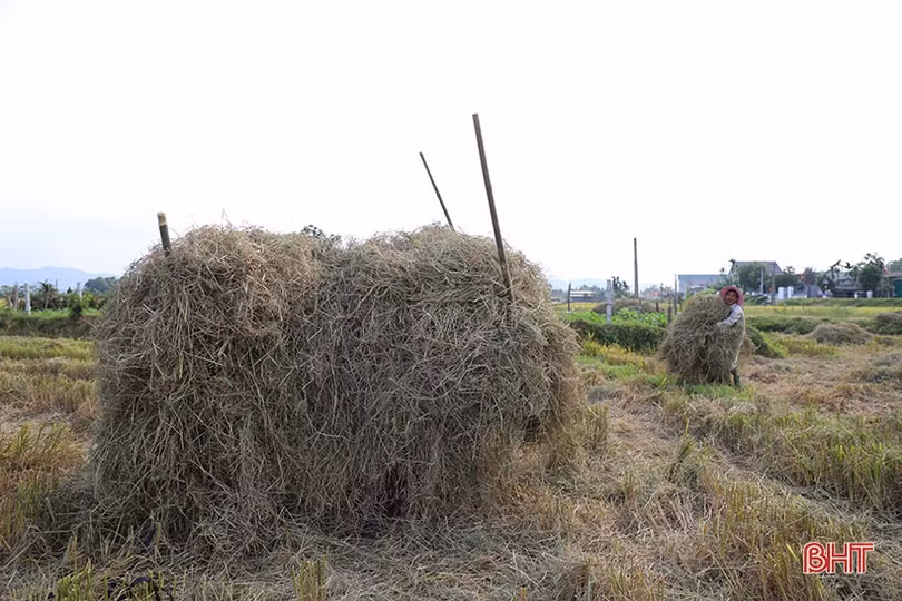 Khói rơm mù mịt cản trở giao thông trên tuyến đường vừa rộng vừa đẹp của TP Hà Tĩnh