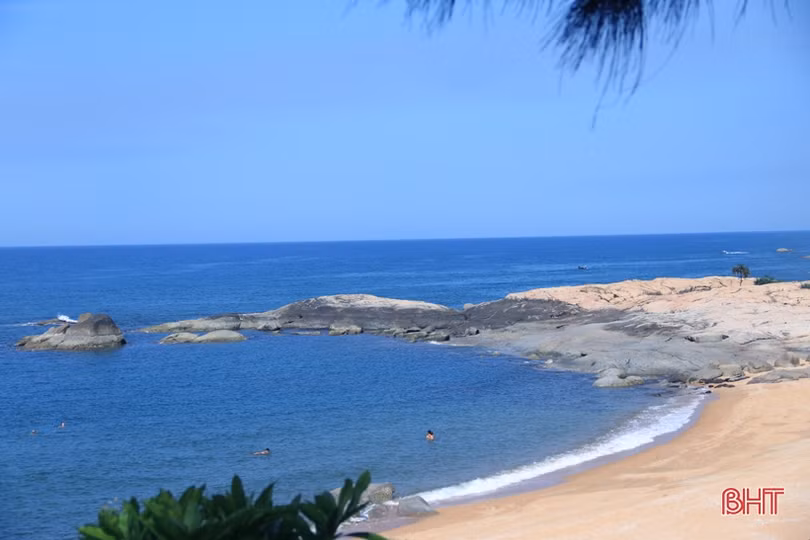 Thợ săn lùng sục, loại chim quý ở vùng biển Kỳ Xuân rời bỏ chốn quen