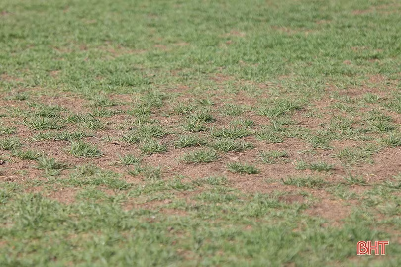 Cận cảnh mặt cỏ SVĐ Hà Tĩnh trước ngày đội nhà gặp Fico Tây Ninh