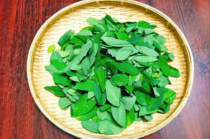 Rau ngót cực tốt nhưng người này ăn vào lại rước họa vào thân - Hình 2 Rau ngót cực tốt nhưng người này ăn vào lại rước họa vào thân