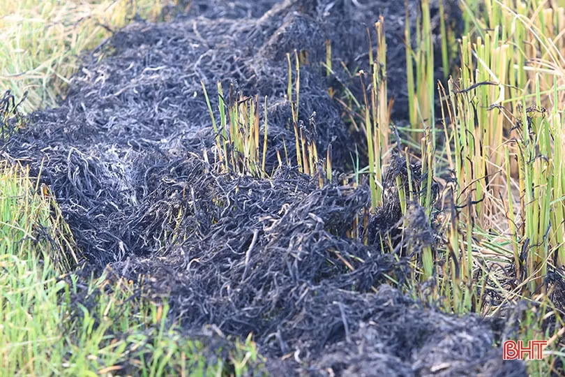 Khói rơm mù mịt cản trở giao thông trên tuyến đường vừa rộng vừa đẹp của TP Hà Tĩnh