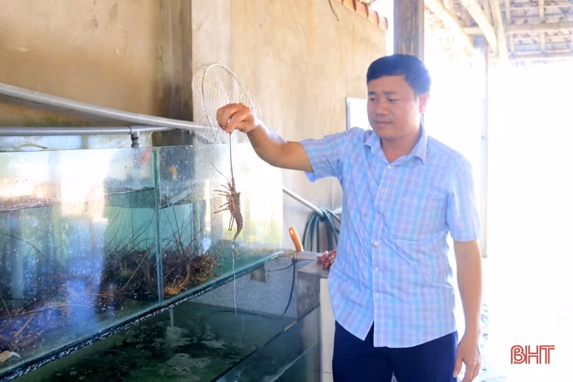 Thợ săn lùng sục, loại chim quý ở vùng biển Kỳ Xuân rời bỏ chốn quen