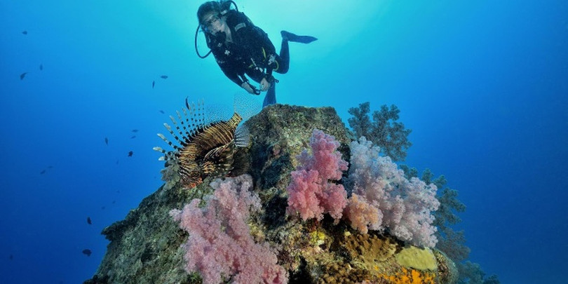 Bí ẩn về ngọn thác dưới đáy biển ở Mauritius