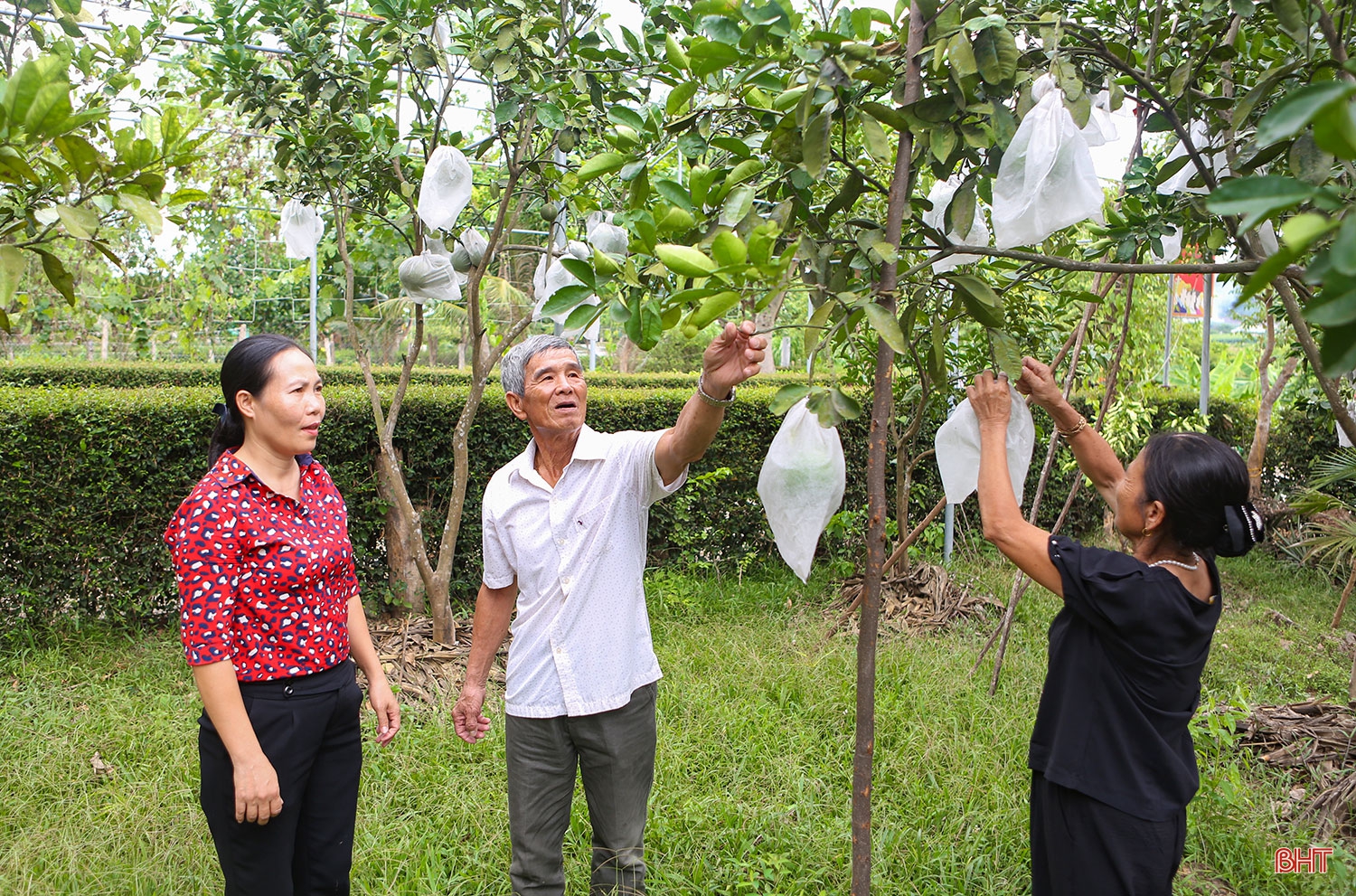Chuyện về những gia đình có công tiêu biểu ở Hà Tĩnh