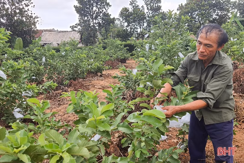 Kỳ Đồng xây dựng phố ở trong làng, hướng tới “đô thị xanh”