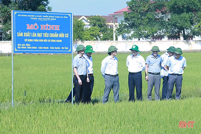 Khí thế mới từ các phong trào thi đua của ngành nông nghiệp Hà Tĩnh