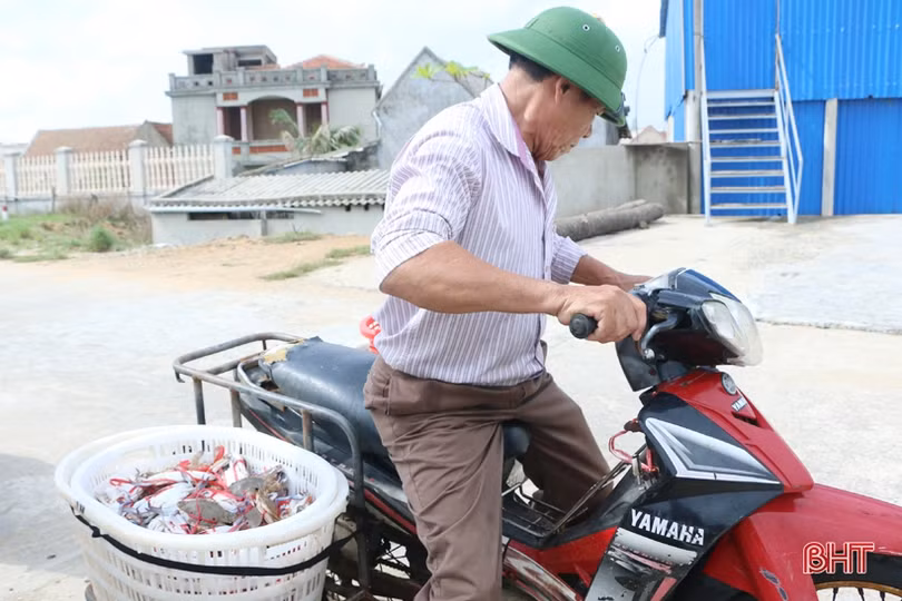 Đợt “đếm ghẹ, thu tiền” của ngư dân Cẩm Lộc