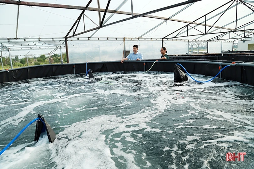 Hà Tĩnh chuyển đổi số trong nông nghiệp, tạo đột phá xây dựng tỉnh nông thôn mới