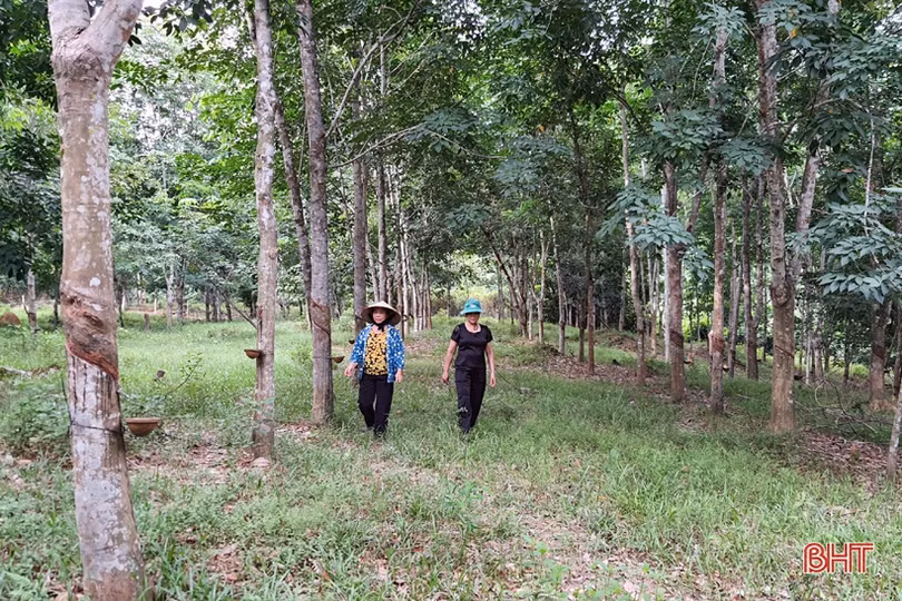 “Tôi đã xây dựng cuộc sống ấm no nơi vùng quê Hà Tĩnh ân tình”