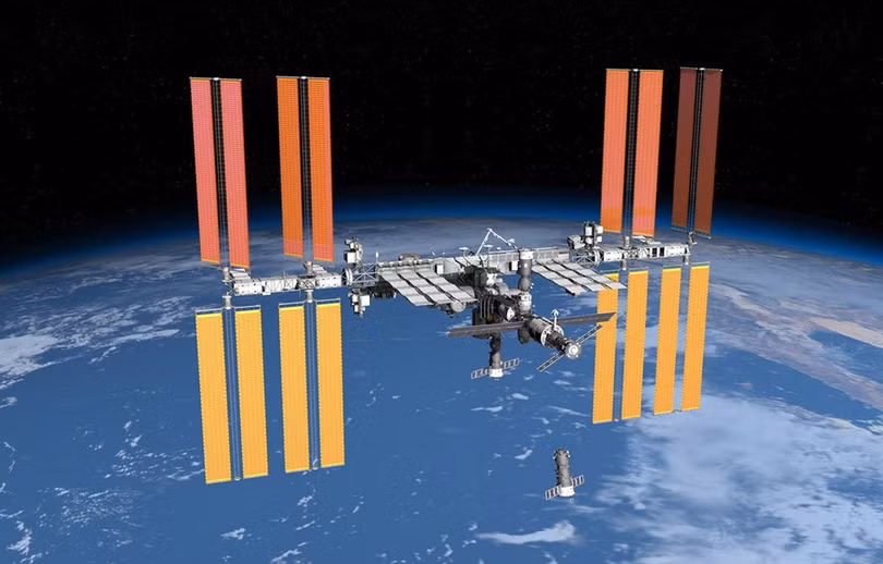 Phi hành gia... thu hoạch củ cải trên trạm ISS