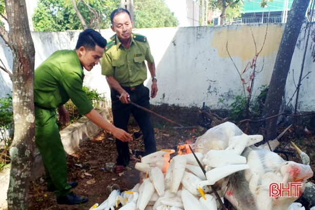 Ngày đầu ra quân, huyện Kỳ Anh thu giữ hơn 1.800 dụng cụ bẫy chim