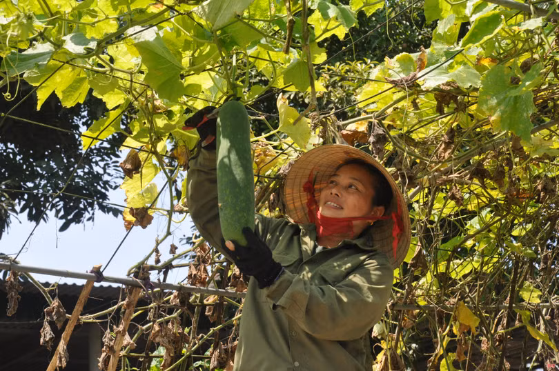 Thi đua tạo động lực lớn để Hà Tĩnh thực hiện thắng lợi các nhiệm vụ chính trị