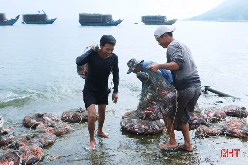 Đợt “đếm ghẹ, thu tiền” của ngư dân Cẩm Lộc