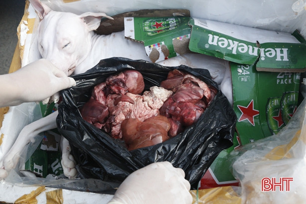 Cảnh sát Môi trường Hà Tĩnh bắt giữ xe vận chuyển 250 kg sản phẩm động vật không rõ nguồn gốc xuất xứ