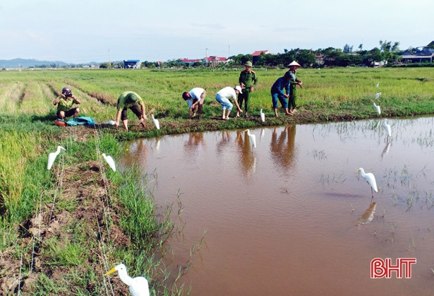 Ngày đầu ra quân, huyện Kỳ Anh thu giữ hơn 1.800 dụng cụ bẫy chim
