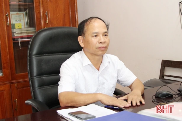 Vị giám đốc dày công vun đắp màu xanh cho vùng chè Hương Sơn