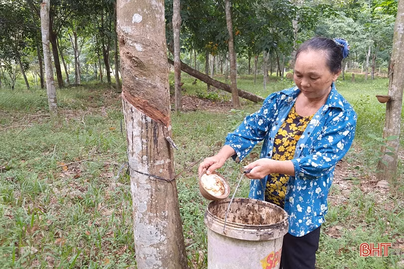 “Tôi đã xây dựng cuộc sống ấm no nơi vùng quê Hà Tĩnh ân tình”