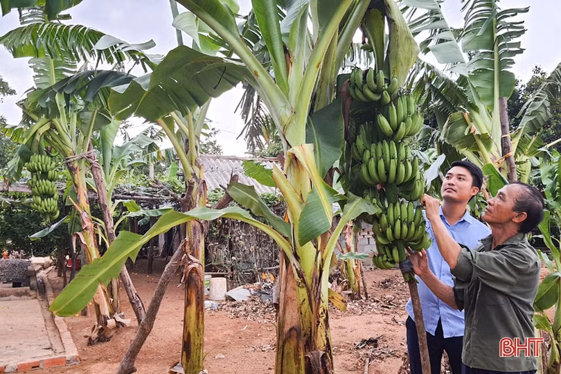 Kỳ Đồng xây dựng phố ở trong làng, hướng tới “đô thị xanh”