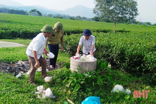 Vị giám đốc dày công vun đắp màu xanh cho vùng chè Hương Sơn
