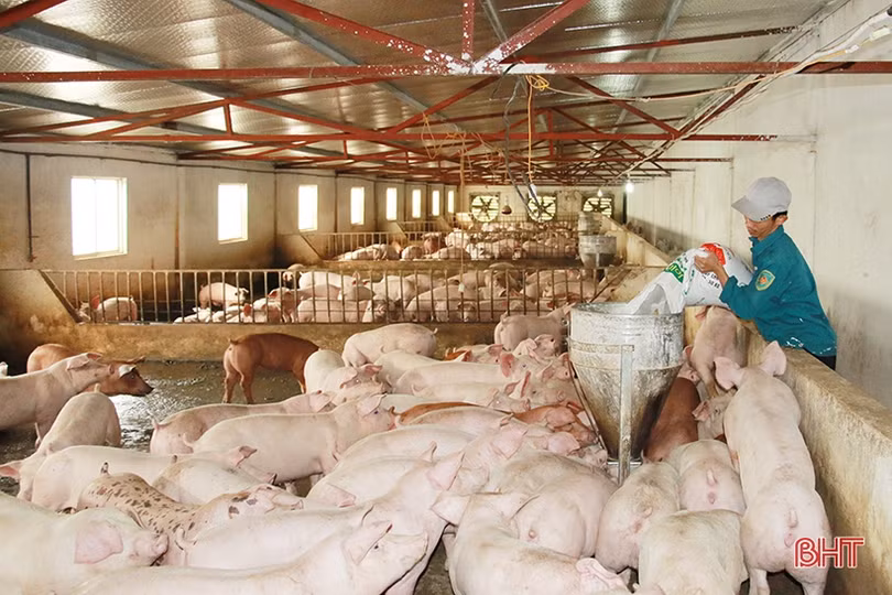 Hà Tĩnh tiến tới nền nông nghiệp hiện đại, thích ứng biến đổi khí hậu