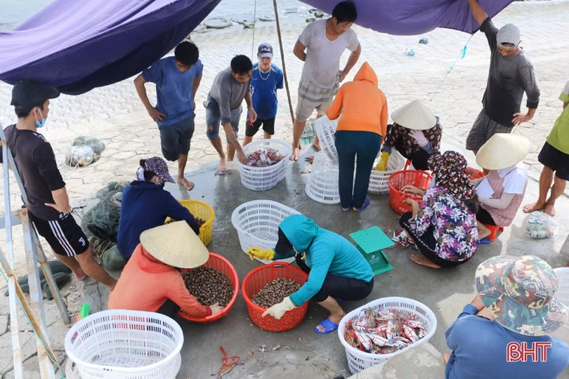 Đợt “đếm ghẹ, thu tiền” của ngư dân Cẩm Lộc