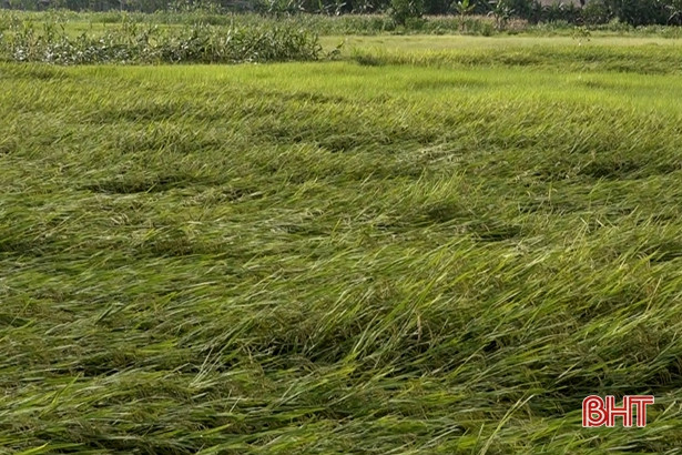 Lốc xoáy làm tốc 171 mái nhà, công trình ở huyện miền núi Hà Tĩnh