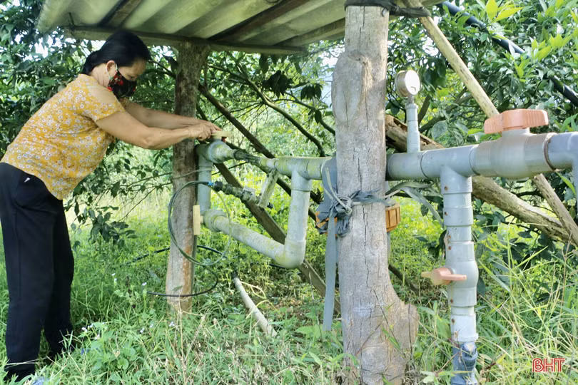 Nông dân Vũ Quang chủ động chống hạn cho hơn 2.600 ha cam