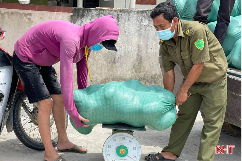 Hơn 30 tấn dưa của thôn cách ly chống dịch Covid-19 ở Hà Tĩnh chờ...“giải cứu”!