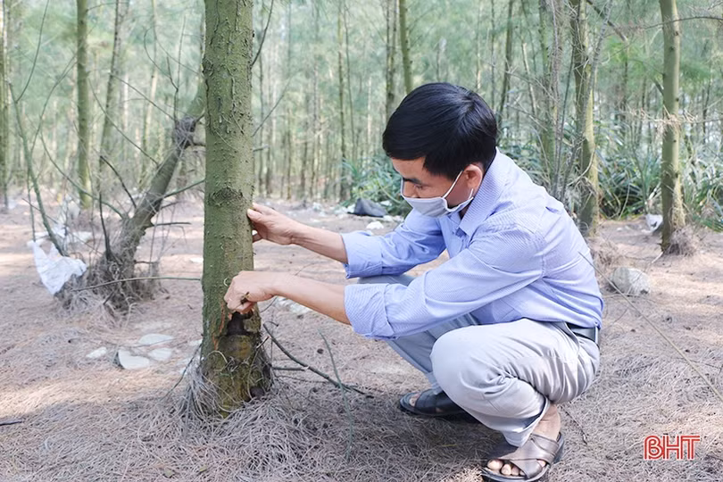 Cho những cánh rừng thêm xanh!