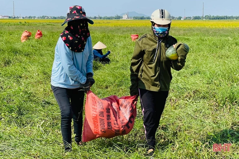 Thạch Hà vượt lên dịch bệnh, linh hoạt triển khai xây dựng nông thôn mới
