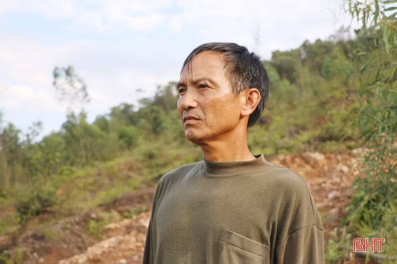 Cho những cánh rừng thêm xanh!