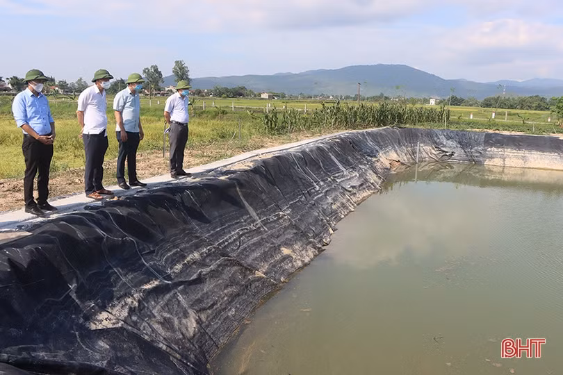 Hà Tĩnh: Năng suất lúa xuân năm nay khả năng cao nhất 10 năm qua