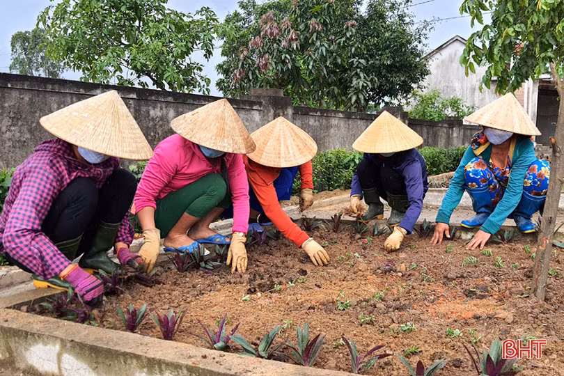 Xã vùng thượng phía Nam Hà Tĩnh dồn sức “chặng nước rút” xây dựng nông thôn mới