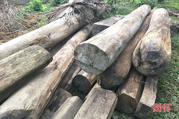 Phát hiện thêm hơn 2m<sup>3</sup> gỗ lậu trong nhà dân ở Hương Khê
