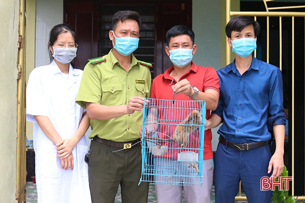 Bàn giao cá thể khỉ đuôi lợn và cu li nhỏ cho Vườn Quốc gia Vũ Quang