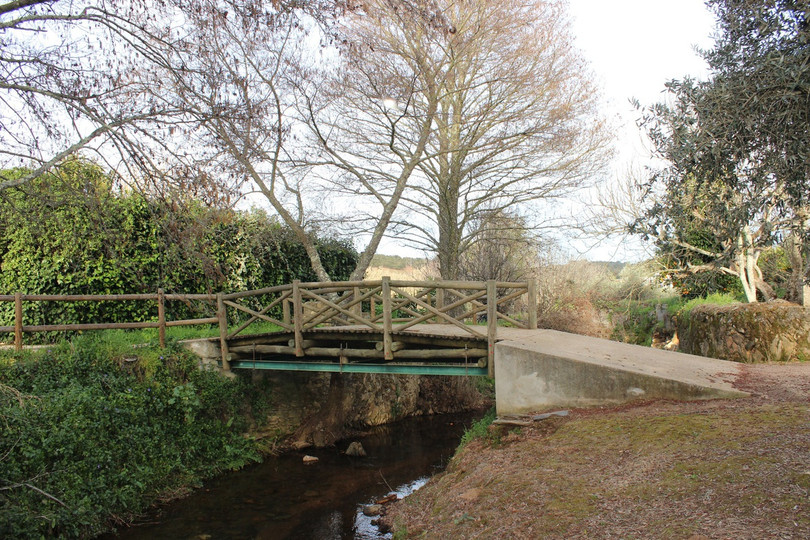 Những cây cầu nắm giữ kỷ lục thế giới