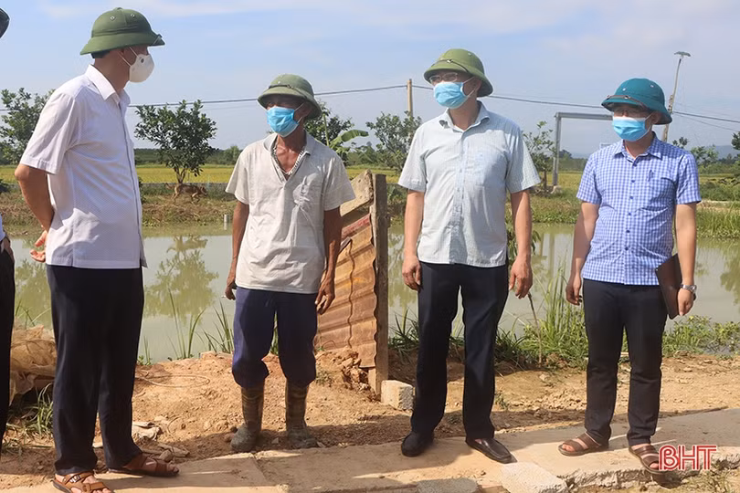 Hà Tĩnh: Năng suất lúa xuân năm nay khả năng cao nhất 10 năm qua