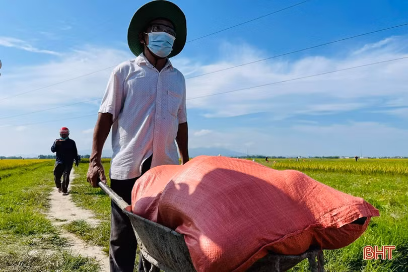 Hơn 30 tấn dưa của thôn cách ly chống dịch Covid-19 ở Hà Tĩnh chờ...“giải cứu”!